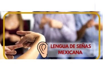 Aprende en familia 10 señas básicas de la lengua de señas mexicana